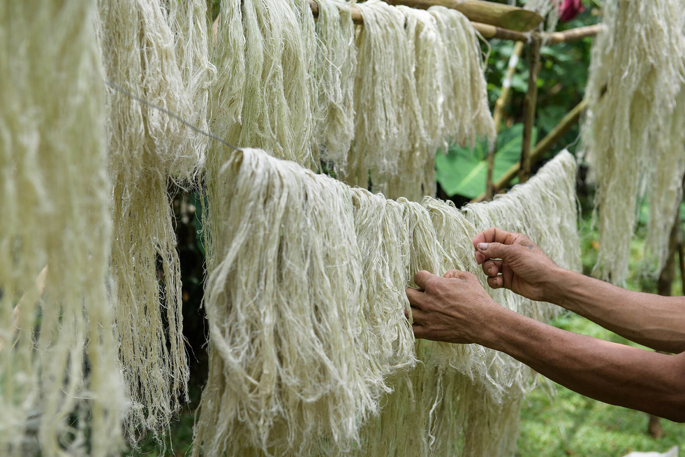 sustainability image hanging drying vibers for our sneakers