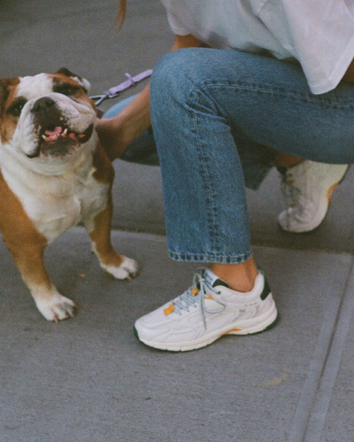 The Re-Run City | White/Green